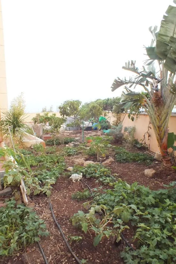 Appartement Casa Nea à El Rosario  Espagne